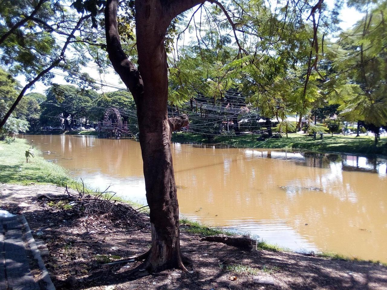 Mango Villa Sziemreap Kültér fotó